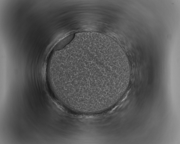 X0000086890194200705141629