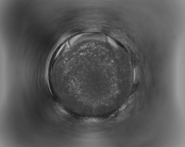 X0000086890195200705141629