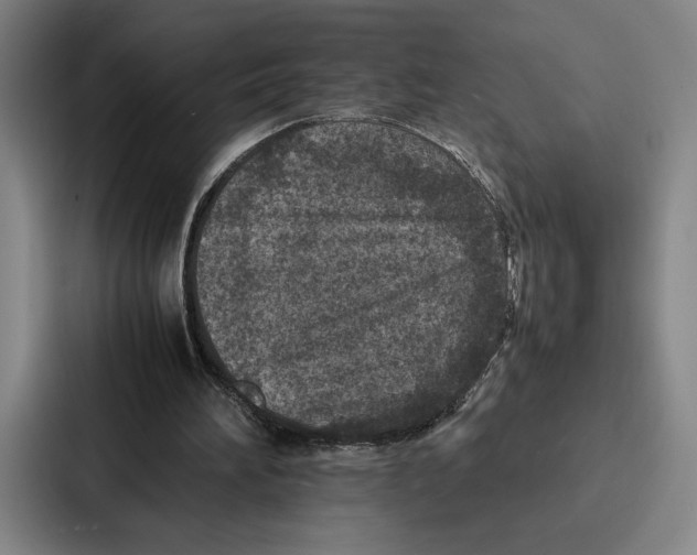 X0000086890196200705141629