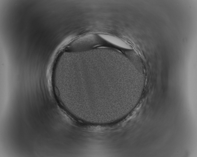 X0000086890197200705141629