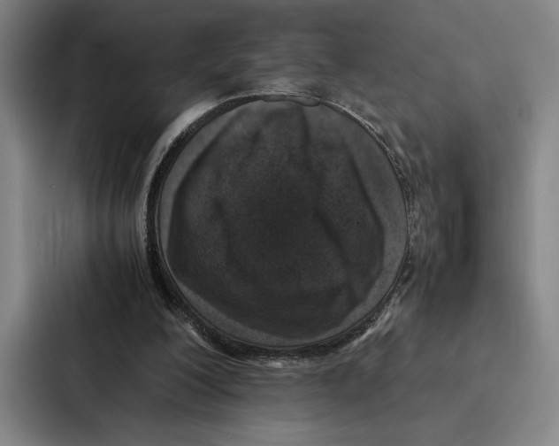 X0000086890200200705141629