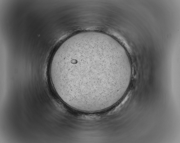 X0000086890201200705141629