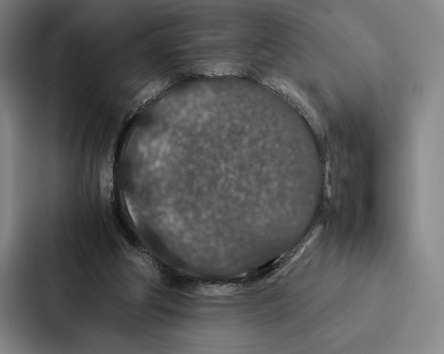 X0000086890202200705141629