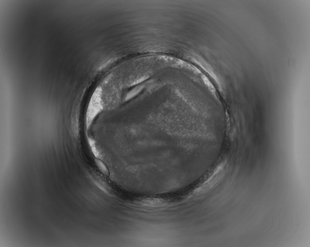 X0000086890203200705141629