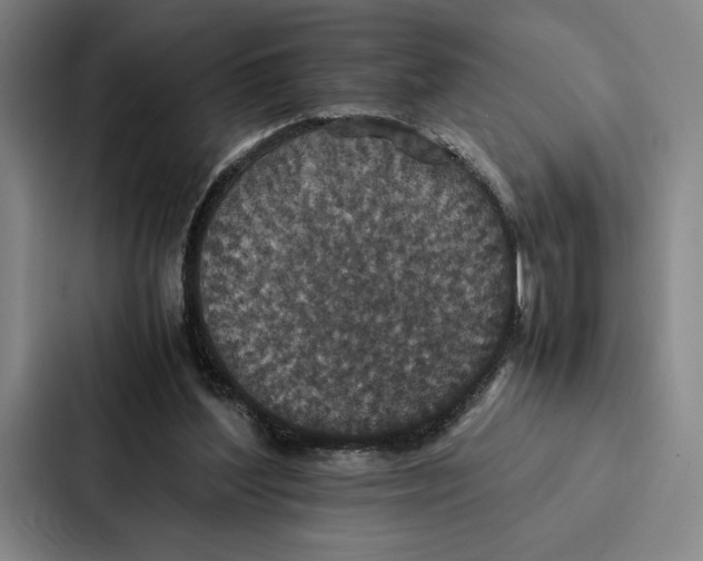 X0000086890204200705141629