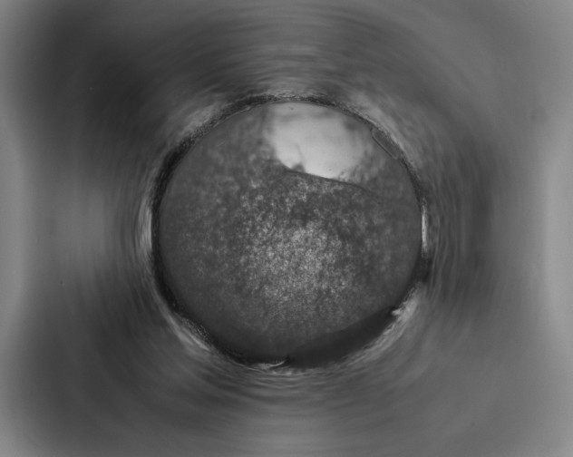 X0000086890205200705141629