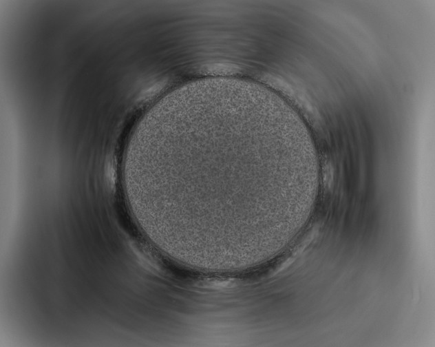 X0000086890206200705141629