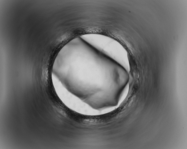 X0000086890211200705141629