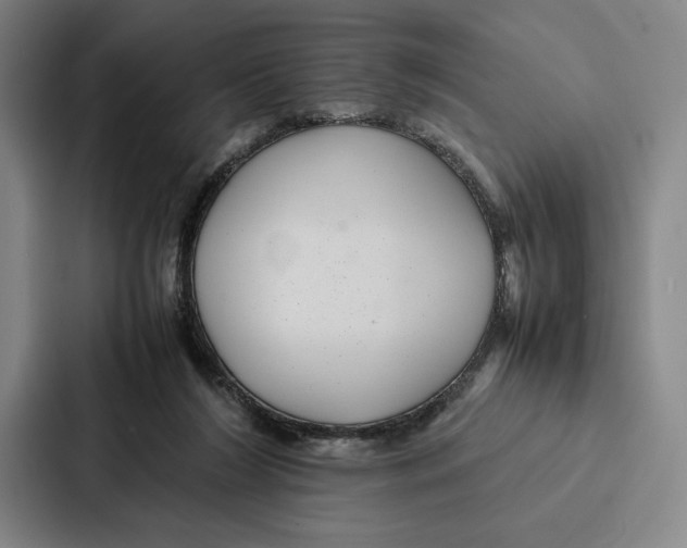 X0000086890212200705141629