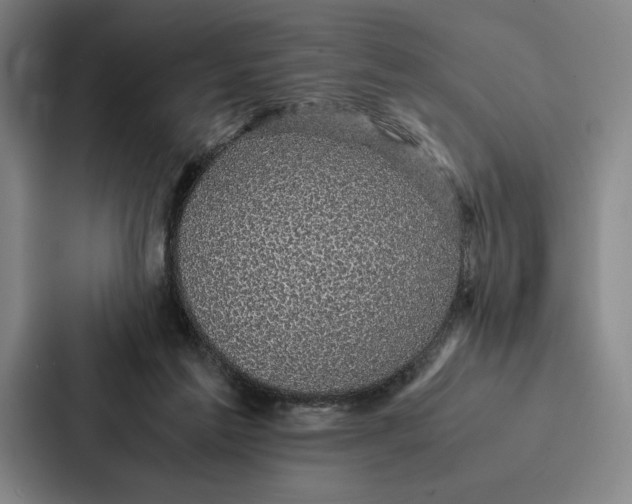 X0000086890213200705141629