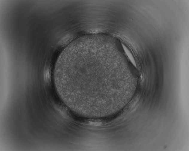 X0000086890214200705141629