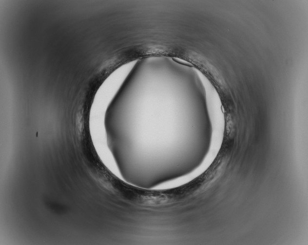 X0000086890215200705141629