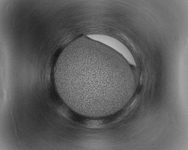 X0000086890217200705141629