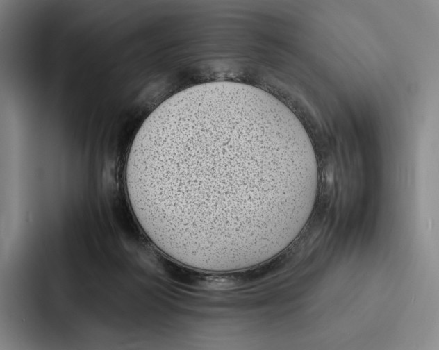 X0000086890218200705141629