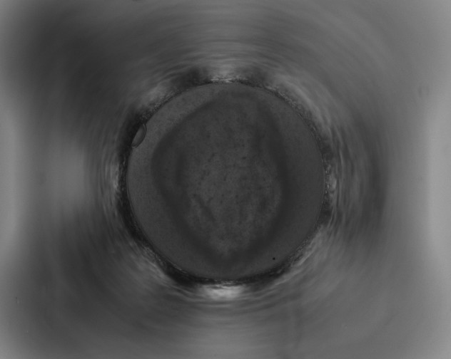 X0000086890219200705141629