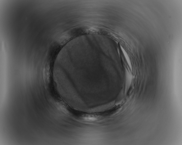 X0000086890223200705141629