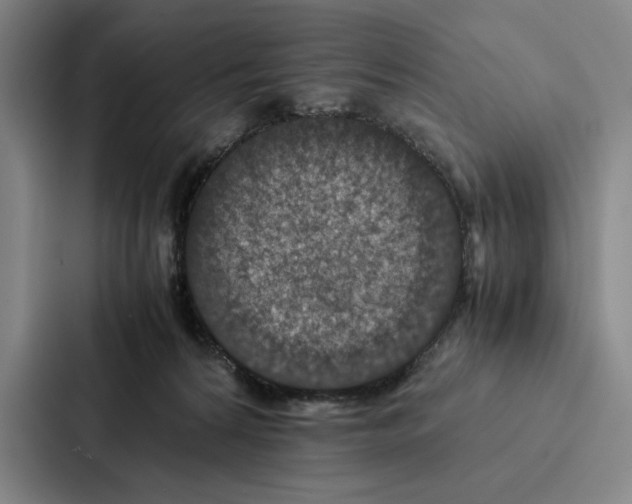 X0000086890224200705141629