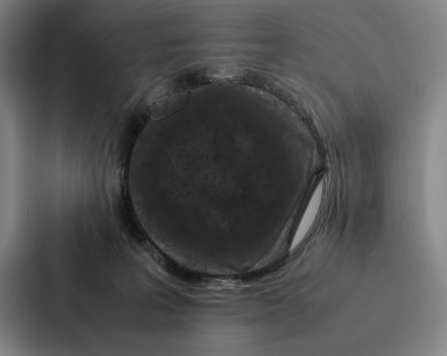 X0000086890227200705141629