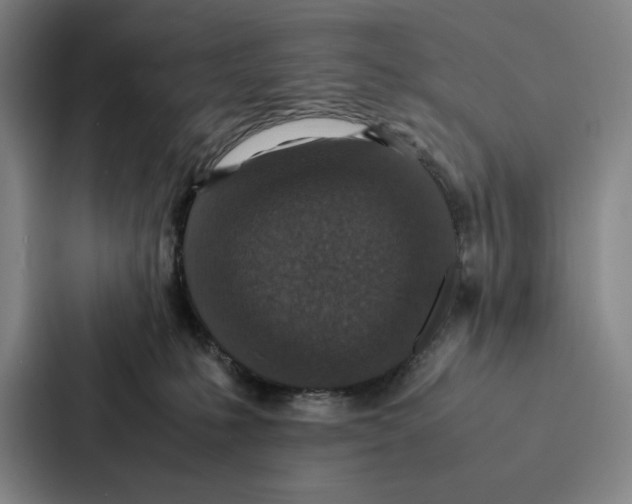 X0000086890231200705141629