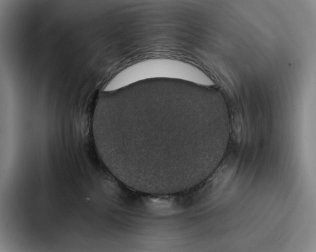 X0000086890232200705141629