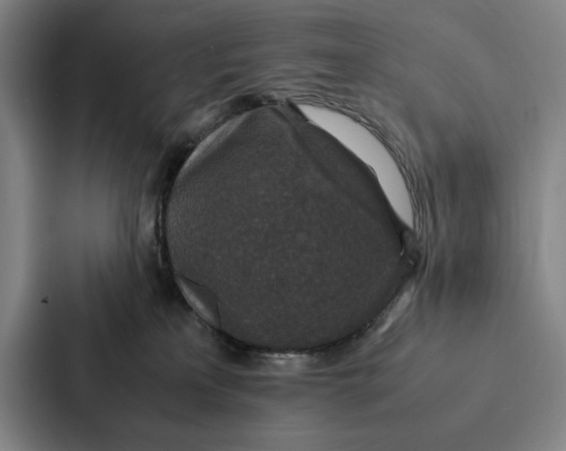 X0000086890233200705141629