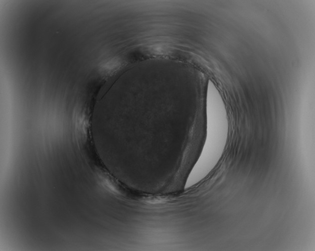 X0000086890235200705141629