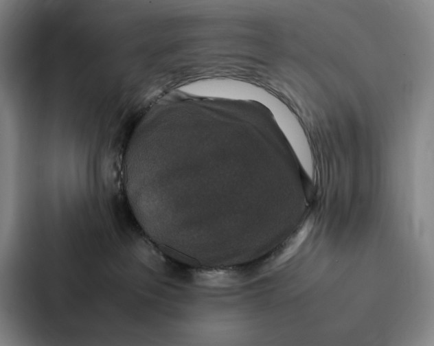 X0000086890237200705141629