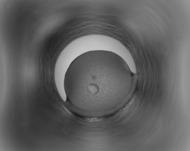 X0000086890239200705141629