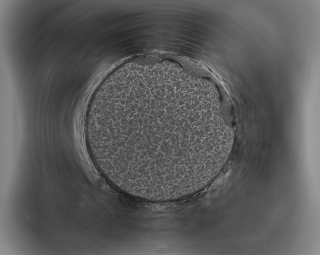 X0000086890241200705141628