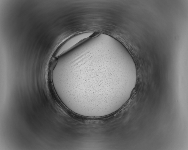 X0000086890242200705141628