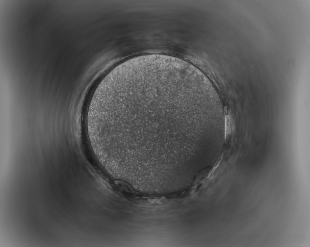 X0000086890243200705141628