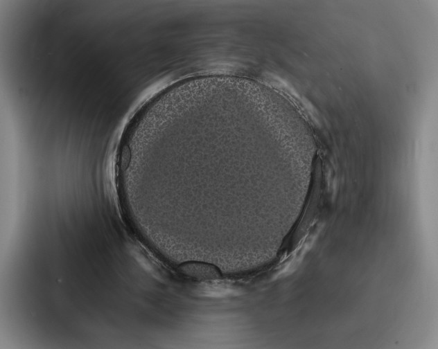 X0000086890244200705141628