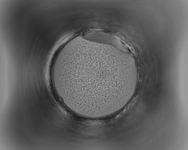 X0000086890245200705141628