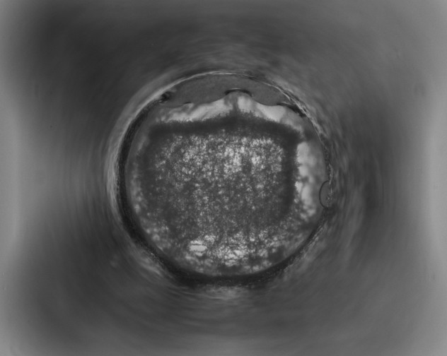 X0000086890247200705141628