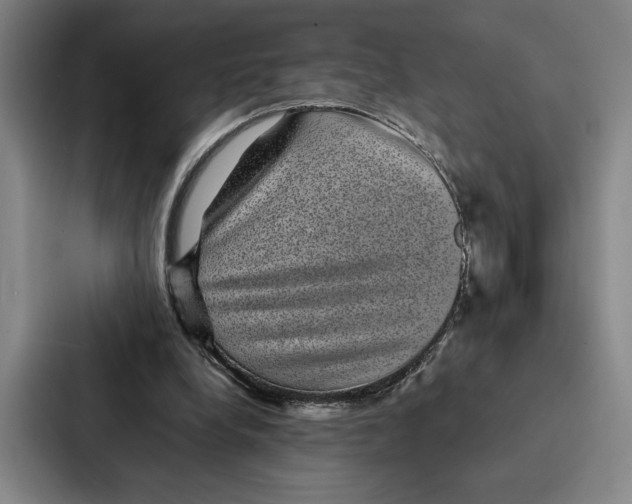 X0000086890248200705141628