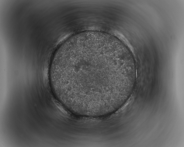 X0000086890249200705141628