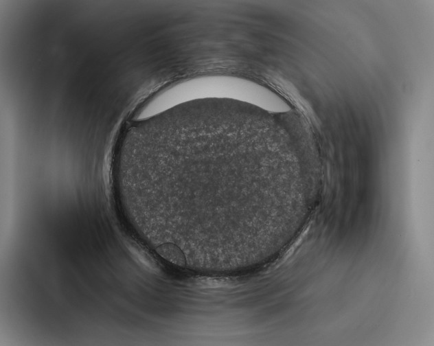 X0000086890250200705141628