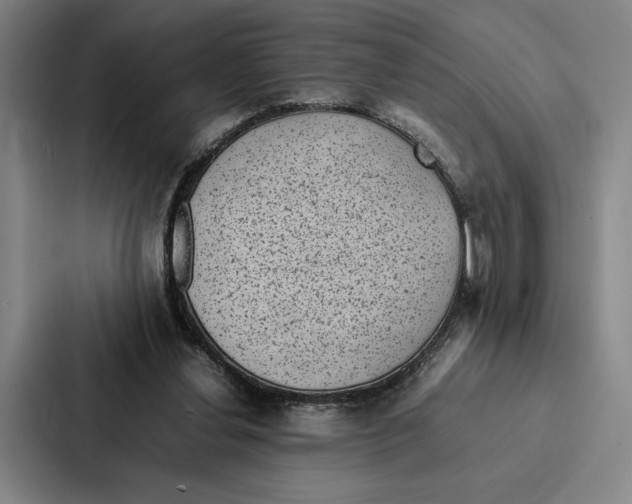 X0000086890252200705141628