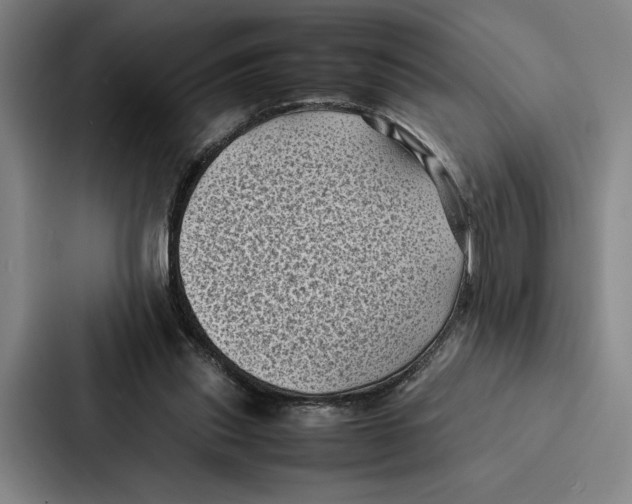 X0000086890253200705141628