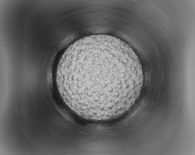 X0000086890254200705141628