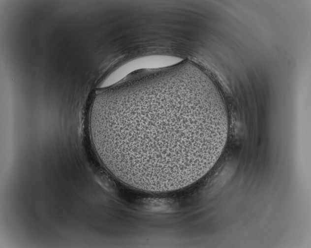 X0000086890255200705141628