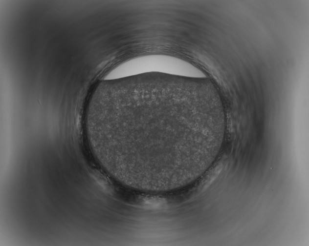 X0000086890258200705141628