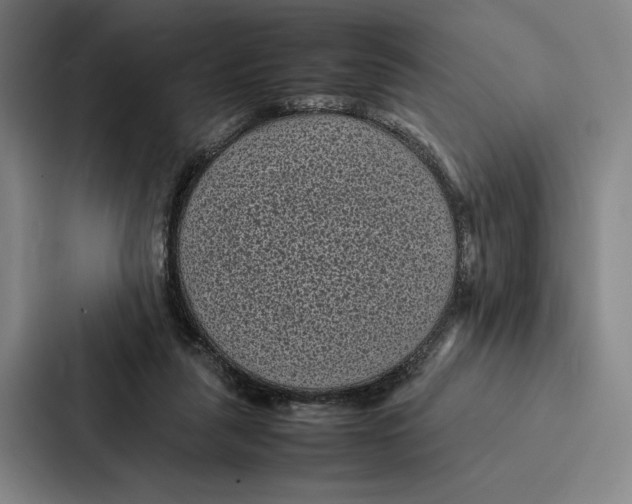 X0000086890259200705141628