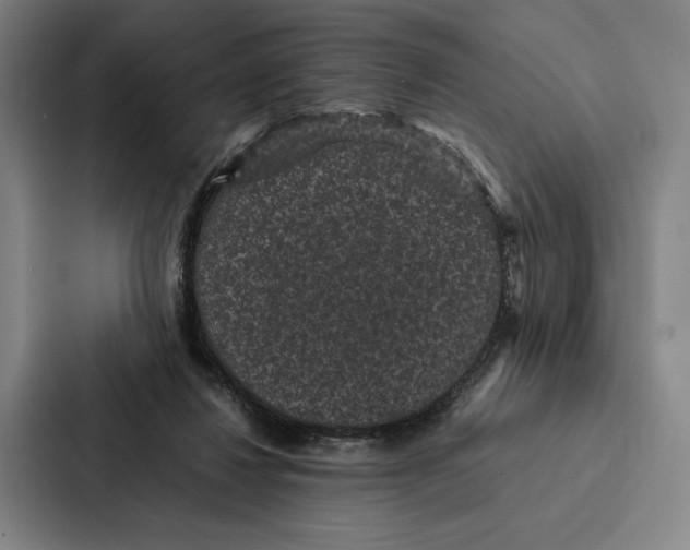 X0000086890260200705141628