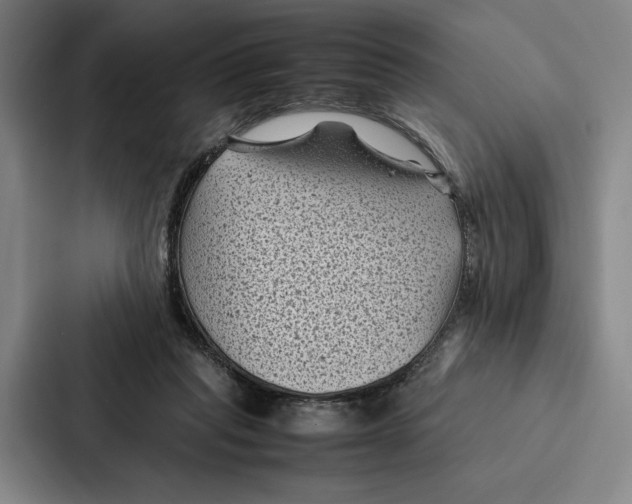 X0000086890261200705141628