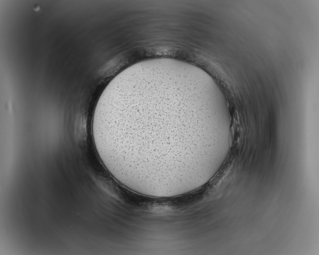 X0000086890262200705141628