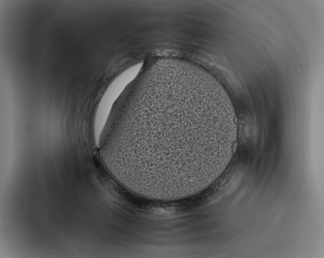 X0000086890263200705141628