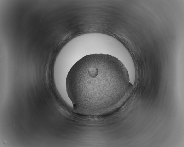 X0000086890264200705141628