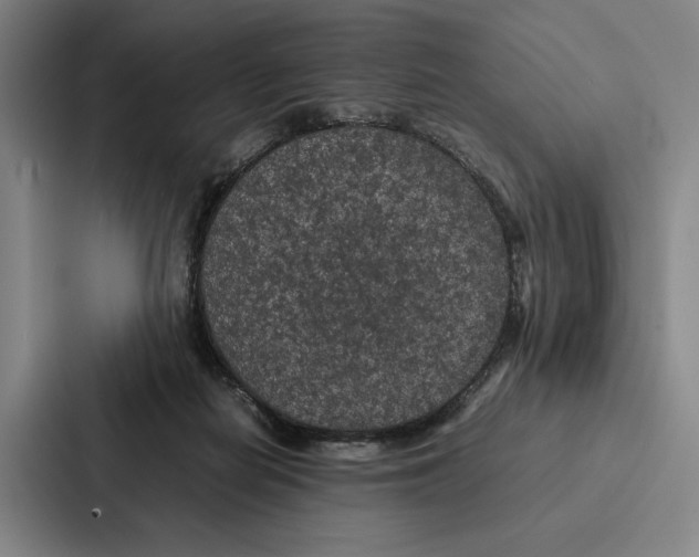 X0000086890266200705141628