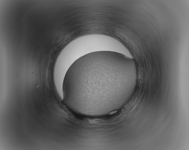 X0000086890268200705141628